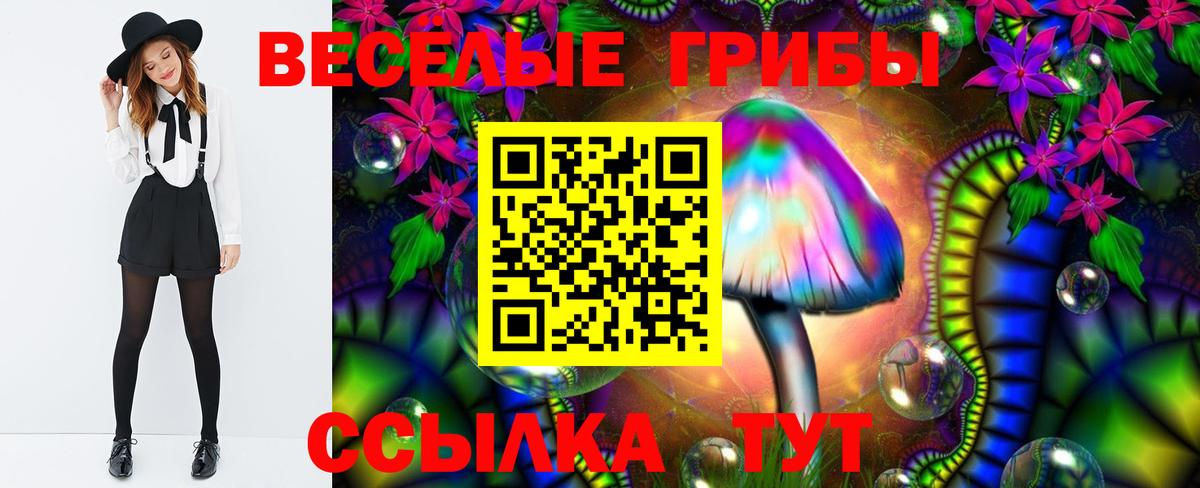 Галлюциногенные грибы GOLDEN TEACHER Нижнекамск